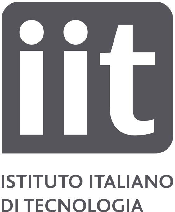 IIT_v4_logo_small_1.png